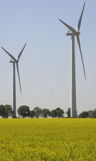 saubere umweltfreundliche Energie